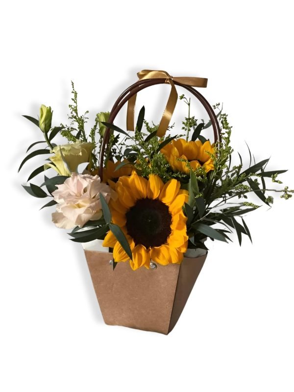 Sunflower in a Bag (S28)