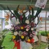 Congratulation Flower Stand FS 46 jpg