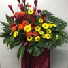 Flourish 600x754 1 webp