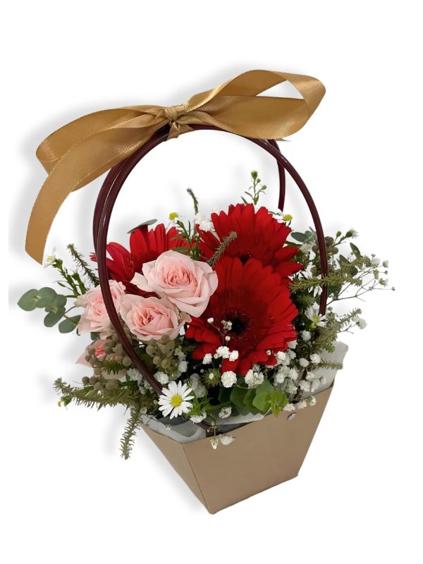 Maeve Red Daisies w Pink Rose 1 jpg