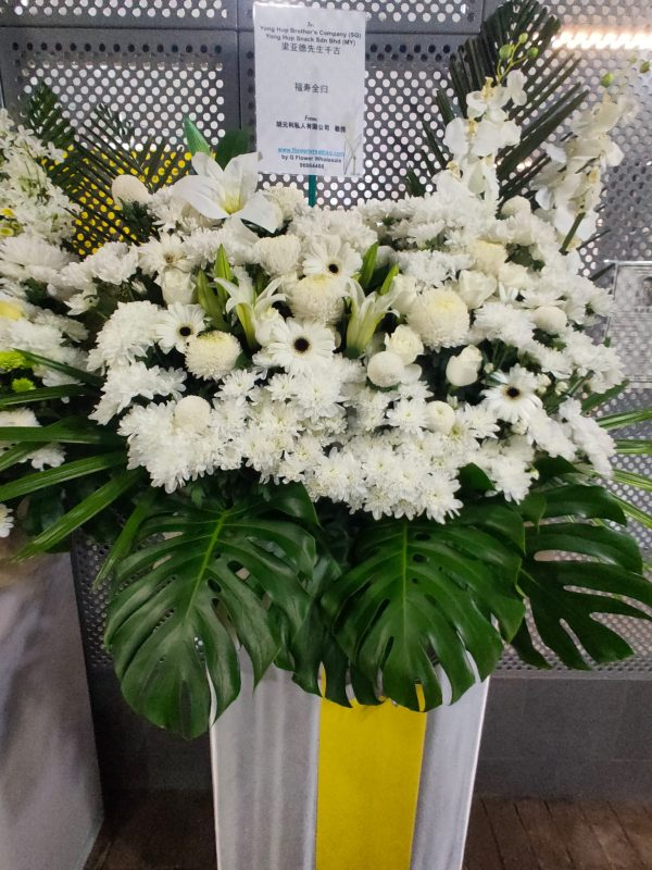 WhatsApp Image 2022 09 03 at 11 30 20 AM jpeg