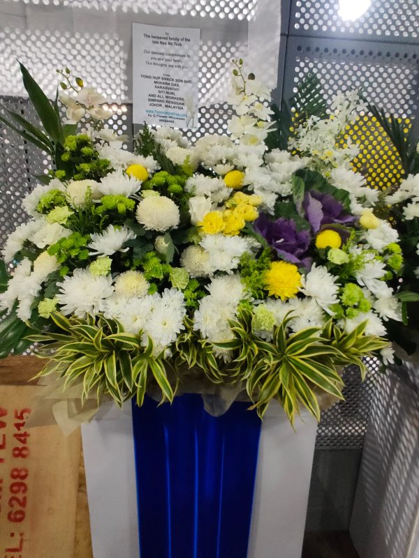 WhatsApp Image 2022 09 03 at 11 30 21 AM 1 jpeg