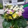 WhatsApp Image 2023 01 04 at 19 56 38 jpeg