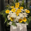 image 2023 01 04T05 07 40 975Z e1672808945406 png