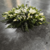 image 2023 09 20T13 05 52 937Z e1695215291491 png