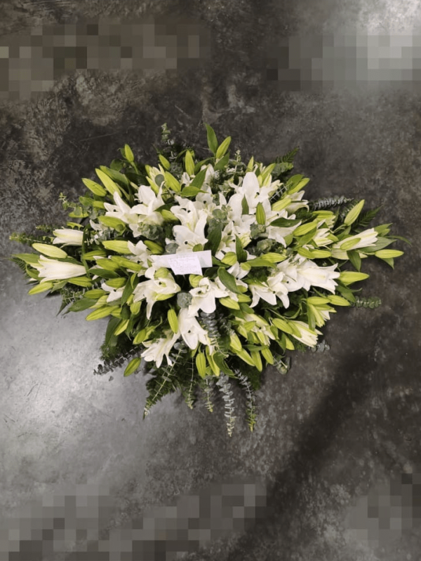 image 2023 09 20T13 05 59 859Z e1695215351483 png