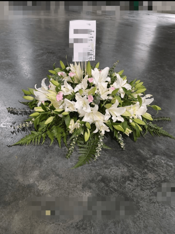 image 2023 09 21T05 03 58 526Z e1695276040560 png
