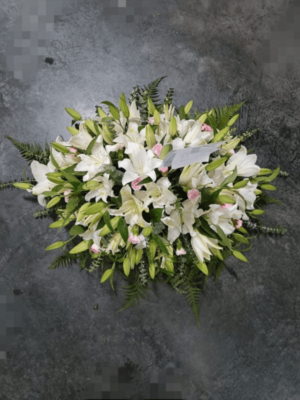 image 2023 09 21T05 04 12 183Z e1695276084681 png