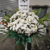 image 2023 09 26T05 20 51 566Z e1695707948124 png