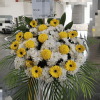 image 2023 12 05T06 09 42 203Z e1701756776899 png