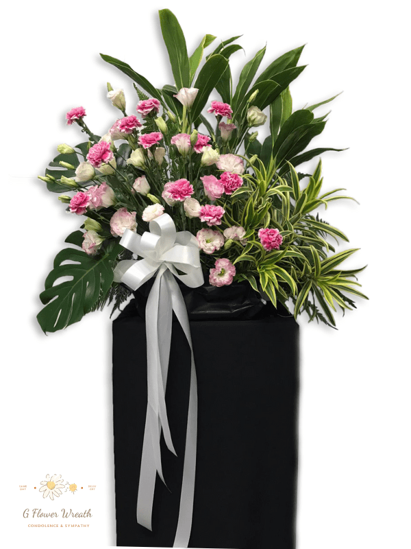 solace and comfort png