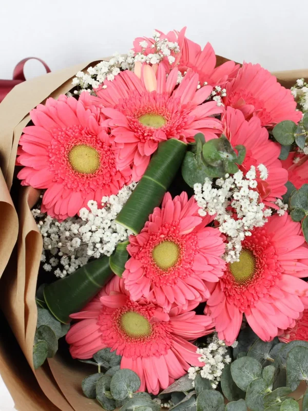 My Sweet Gerbera (G05) 2 G05 3 scaled