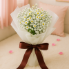 Daisy and Babys Breath Flower